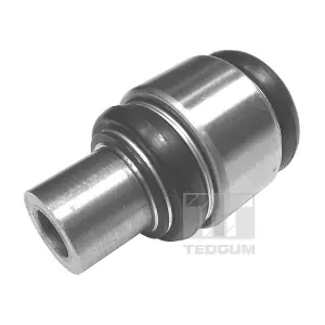 TEDGUM 00313746