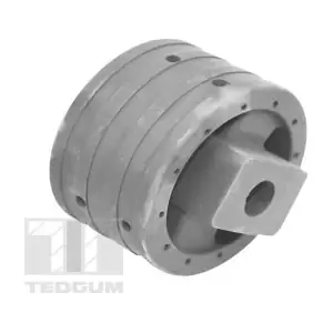 00741004 TEDGUM