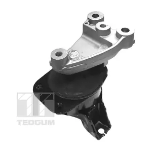 00263047 TEDGUM