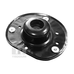 TEDGUM 00228456