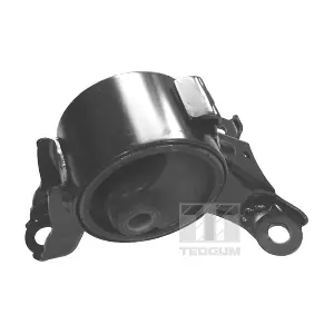 00264829 TEDGUM