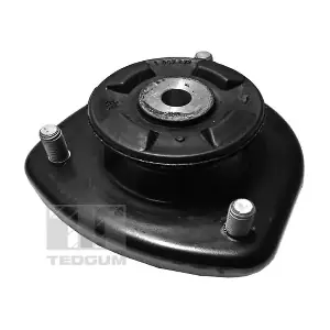 00089501 TEDGUM