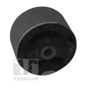 00289581 TEDGUM