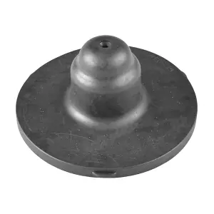 TEDGUM 00504082