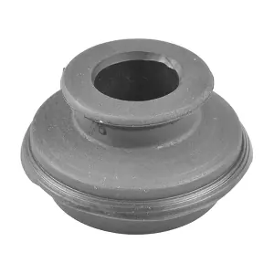 TEDGUM 00443697