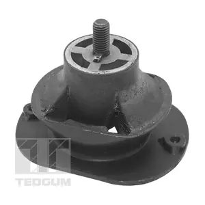 TED40521 TEDGUM