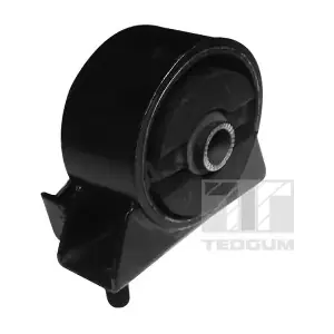 TEDGUM 00281688
