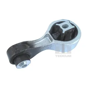 TEDGUM 00507121