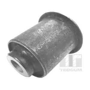 TEDGUM 00281570