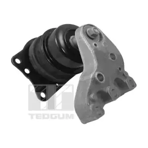 00729417 TEDGUM