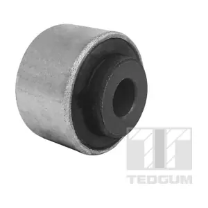 00418840 TEDGUM