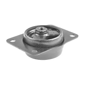 TED50095 TEDGUM