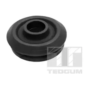 TEDGUM 00448991