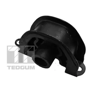 00607589 TEDGUM