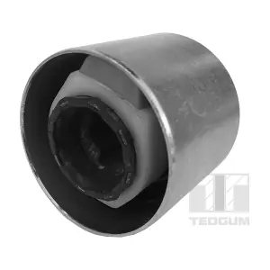 TEDGUM 00084306
