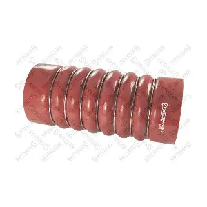 81-10019-SX STELLOX