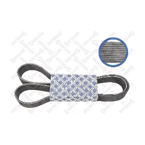 STELLOX 01-01505-SX