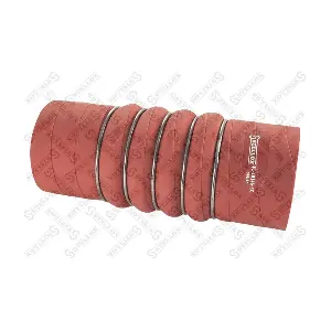 81-10145-SX STELLOX