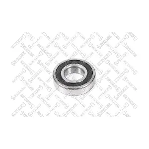 6308 SKF