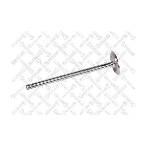 STELLOX 81-24688-SX