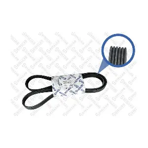 06-01670-SX STELLOX