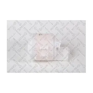 21-00876-SX STELLOX