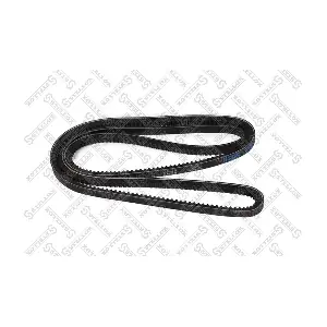 01-31800-SX STELLOX