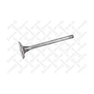 4097 KAMPOL