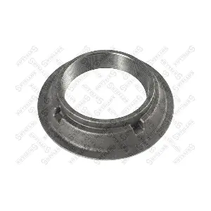 540006 OREX