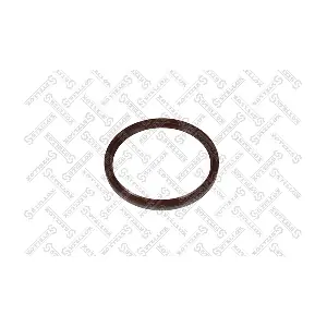 STELLOX 81-01089-SX