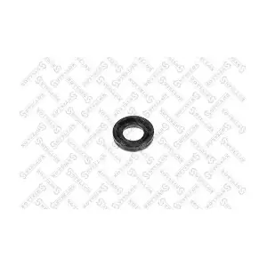 11-28181-SX STELLOX