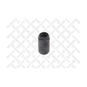 11-17175-SX STELLOX
