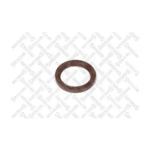 STELLOX 34-00024-SX
