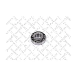 30302 SKF