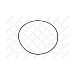 04315005200 SAF
