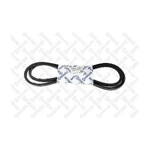 01-31825-SX STELLOX