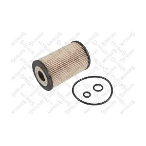 F026407023 GAZ