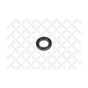 11-28169-SX STELLOX