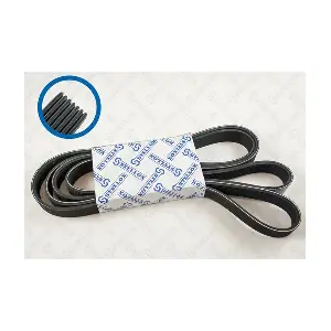 YC1E6C301CB FORD