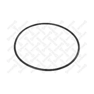 4315006000 SAF
