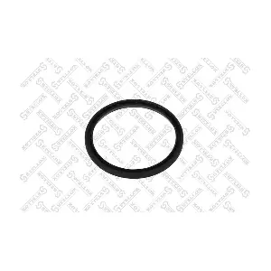 81-01134-SX STELLOX