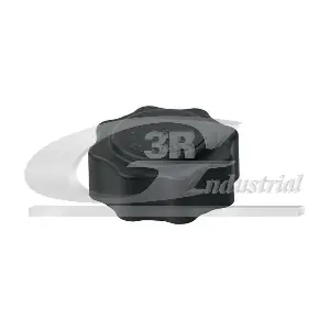 3RG 80197