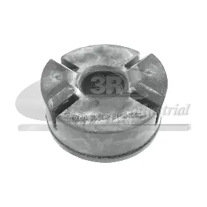 3RG 85733 Опора, радіатор