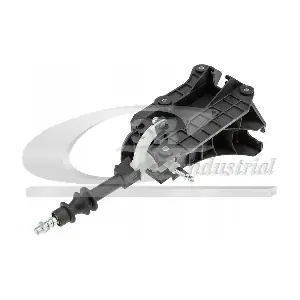 3RG 25265