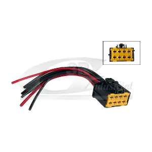 3RG 30613
