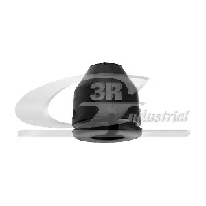 3RG 45710