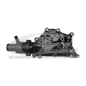3RG 81621