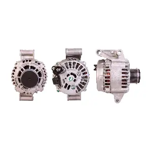 DRI 219307752