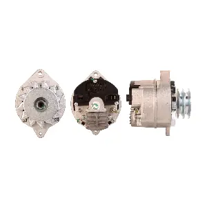 DRI 244103702