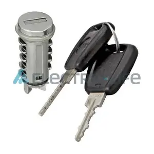 ZR801030 ELECTRIC LIFE